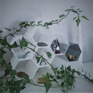 Modular Honeycomb Organizer