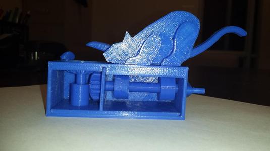 Cat and Mouse Automaton