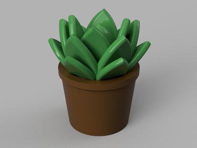 Houseplant