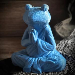 Meditating Frog   