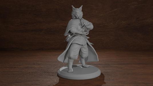 Tabaxi Mage