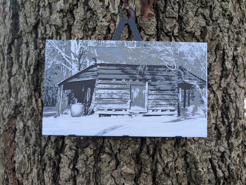 Rural Decay - Abandoned Cabin Filament Painting