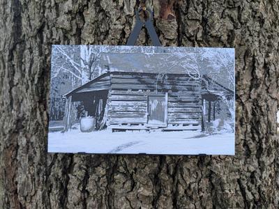 Rural Decay - Abandoned Cabin Filament Painting