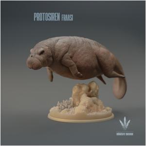 Protosiren fraasi : The Prehistoric Manatee
