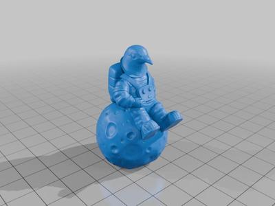 Pigeon Astronaut