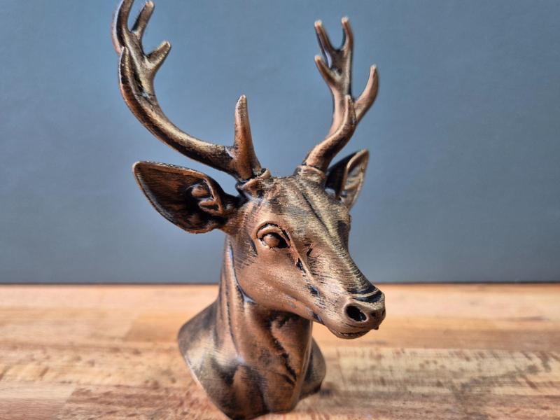 Fallow Dear Bust Model