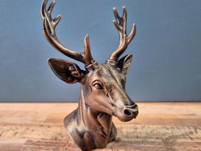 Fallow Dear Bust Model