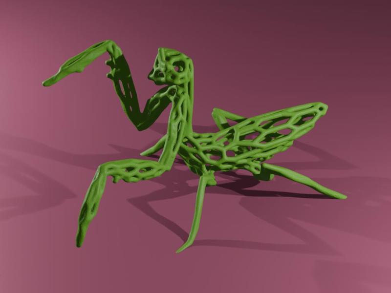 Praying Mantis Voronoi