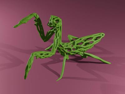 Praying Mantis Voronoi