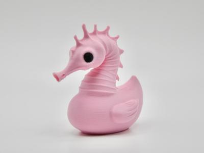 Seahorse Duck