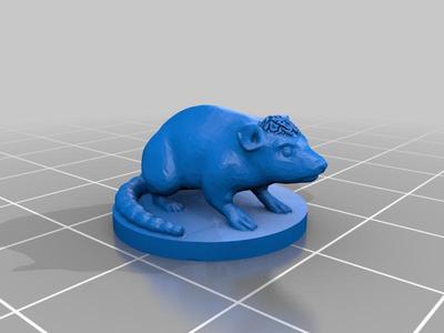 Cranium Rat