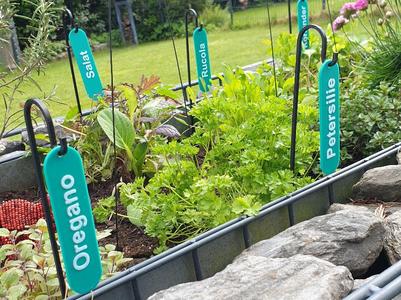 Herb Salad Vegetable Labels