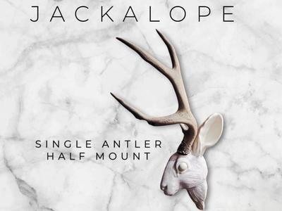 Jackalope Real Antler Mount - Half Edition