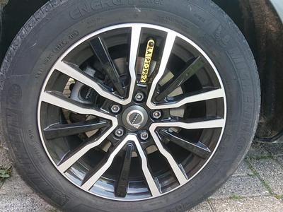 Wheel tag with license plate (NL)