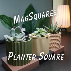 1x1 Planter Square - MagSquares