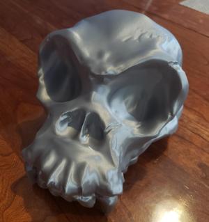 Monkey Skull