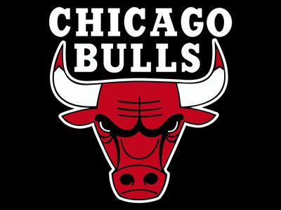 Chicago bulls logo