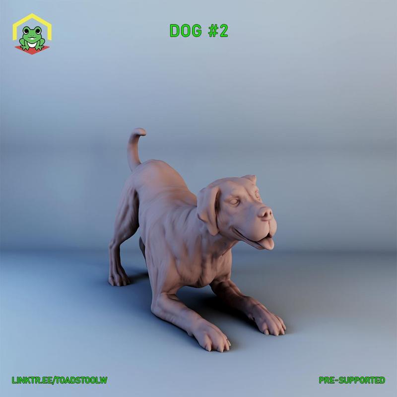 Dog - 2