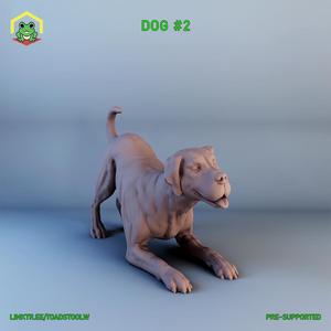 Dog - 2