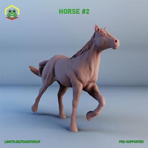 horse -2