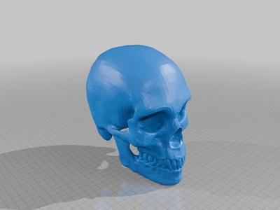Human Skulls