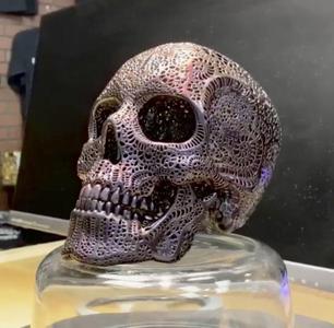 Filigree Anatomical Skull - Pre-supported STL