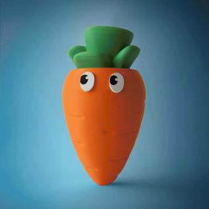 Carlo the Carrot Container