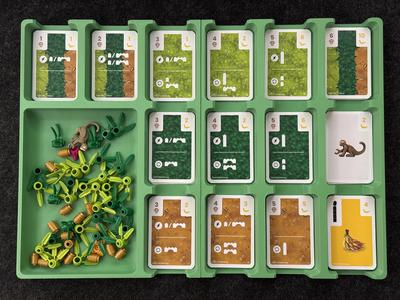 Monkey Palace Game Organizer