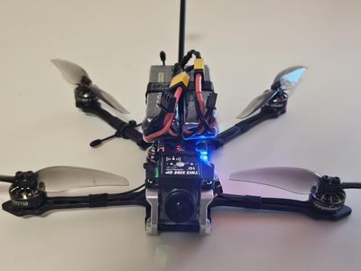 Diatone L4 LR dual battery mount