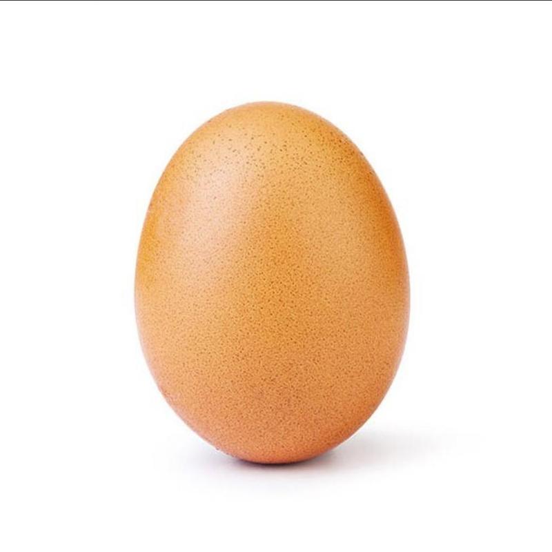 World record egg