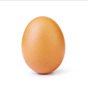 World record egg