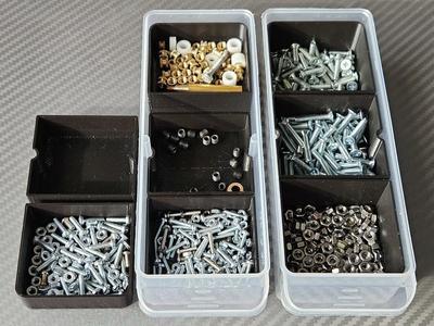 Cells for Organizer