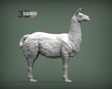 Lama 3D print model