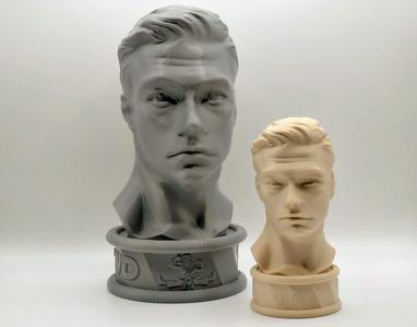JCVD bust