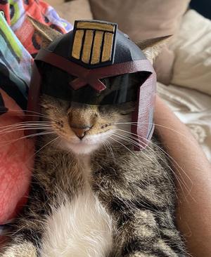 Judge Dredd Cat Helmet Multicolor 
