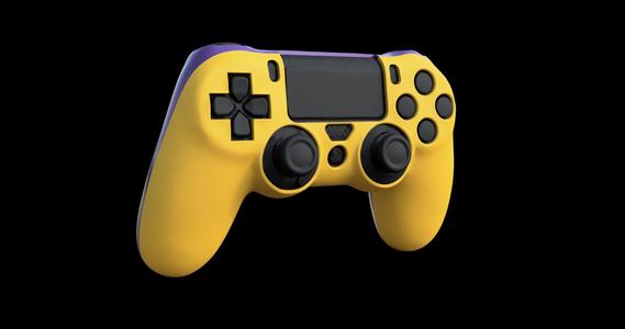 PS4 controller case no personalization