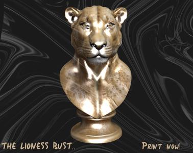 Lioness Bust | With stand | Non detachable