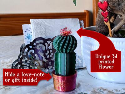 Valentines Cactus Gift Container