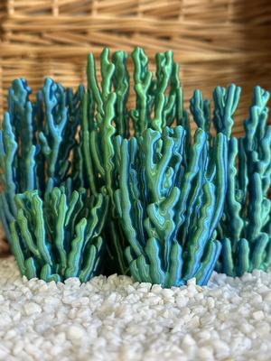 Hex Based Coral