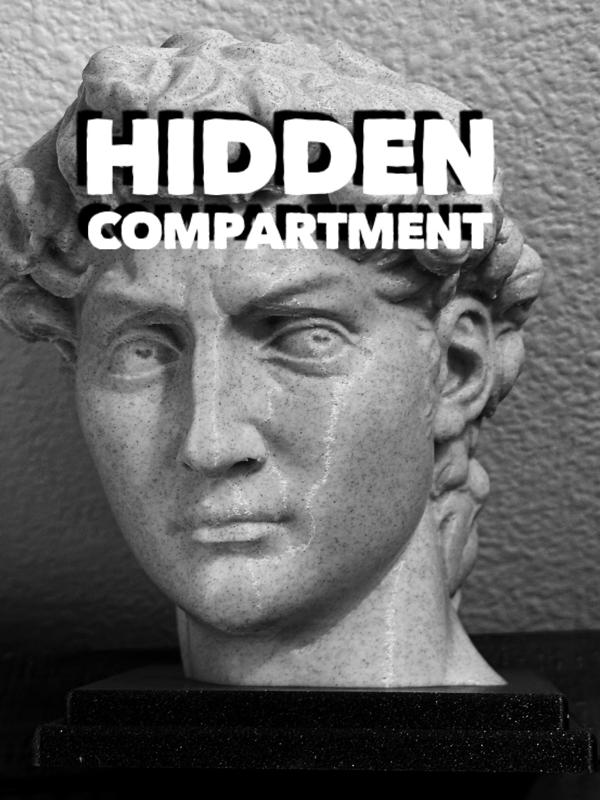 David with a Hidden Compartment!