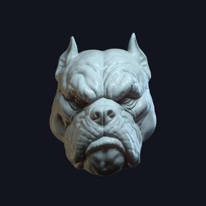 Tarek DreadBone v1 Action Figure Head