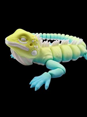 Flexible Iguana