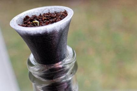Bottle Garden Grow Insert