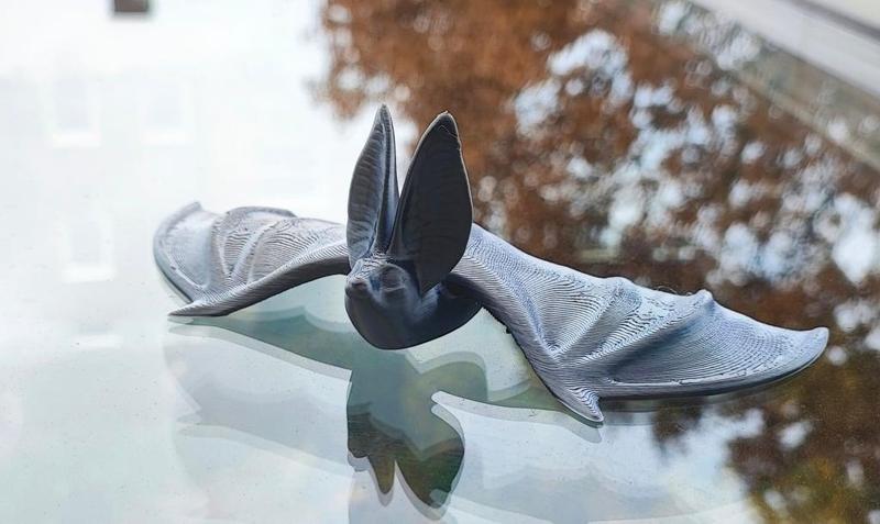 Cute Bat - Supportless ?
