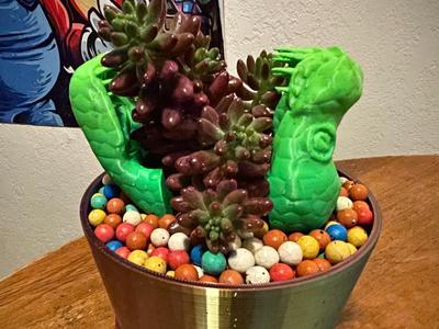 Snake Succulent/Cactus planter