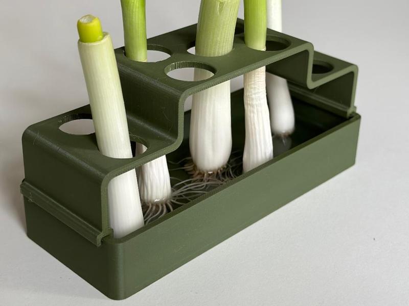 Regrow: Spring Onions