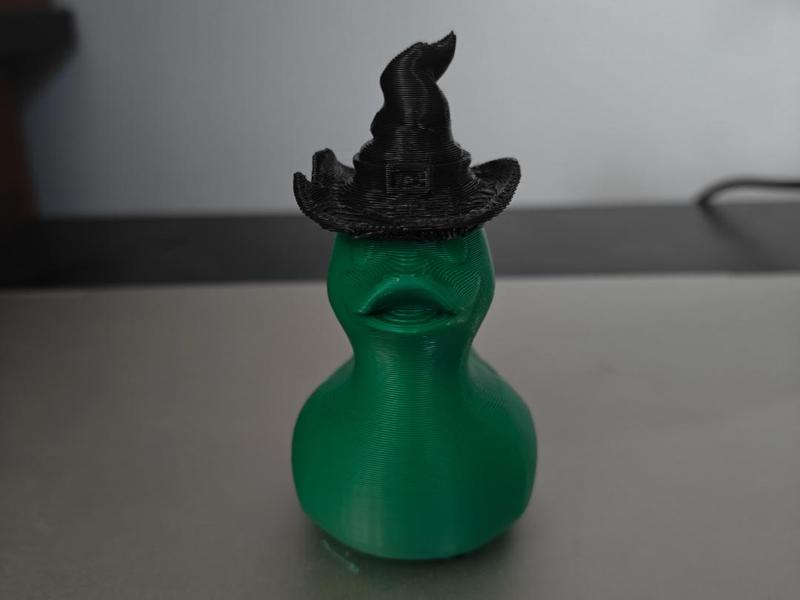 Elphaba Duck