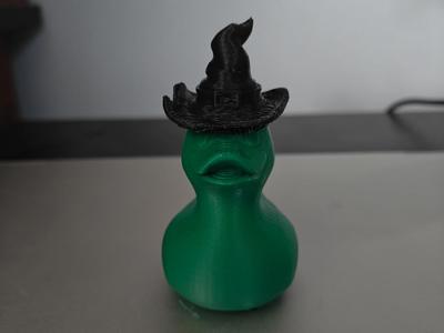 Elphaba Duck
