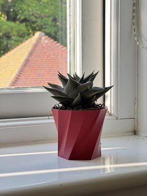 Small Plant pot 
