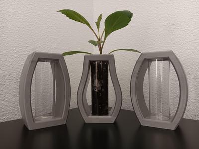 Modern Plant Propagation Station